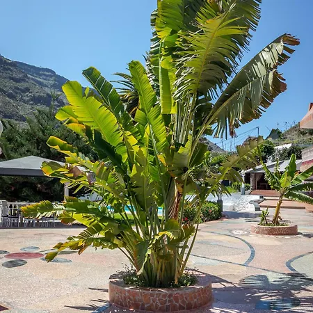 Apartment Penones Experience