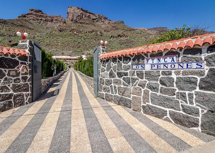 Penones Experience Mogán